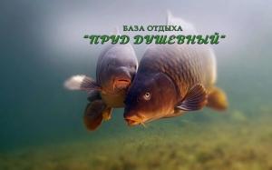 Фотография Пруд душевный 4